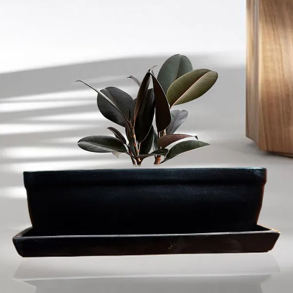 Rectangle_Black_Rec003_With_Plate_Black_Rec003_Ceramic_Pots_For_Indoor_Plants,Bonsai,Planters,Gamla,Outdoor,Balcony,Home,Garden,Succulent