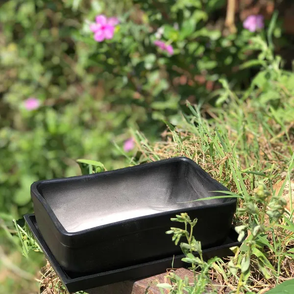 Rectangle_Black_Rec003_With_Plate_Black_Rec003_Ceramic_Pots_For_Indoor_Plants,Bonsai,Planters,Gamla,Outdoor,Balcony,Home,Garden,Succulent