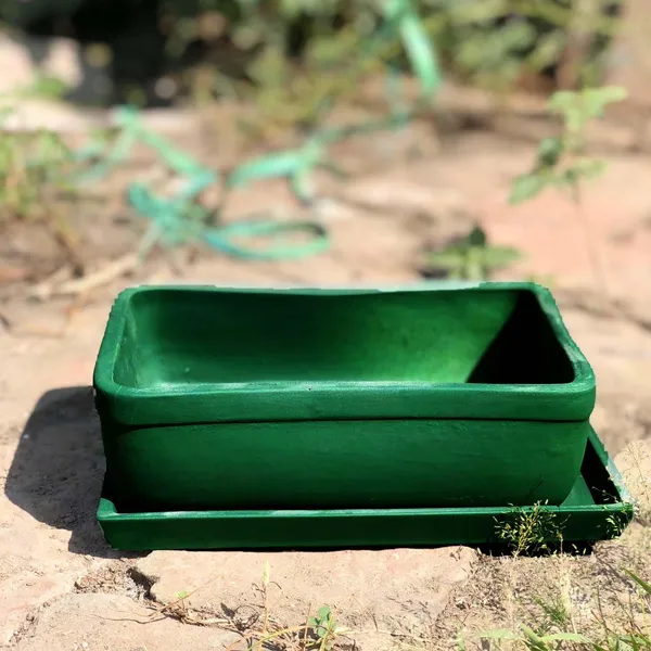 Rectangle_Deep_Jungle_Rec003_With_Plate_Deep_Jungle_Rec003_Ceramic_Pots_For_Indoor_Plants,Bonsai,Planters,Gamla,Outdoor,Balcony,Home,Garden,Succulent