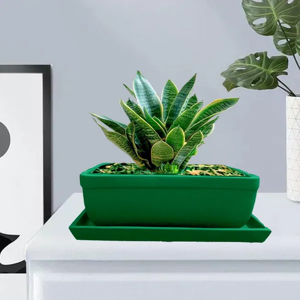Rectangle_Deep_Jungle_Rec003_With_Plate_Deep_Jungle_Rec003_Ceramic_Pots_For_Indoor_Plants,Bonsai,Planters,Gamla,Outdoor,Balcony,Home,Garden,Succulent