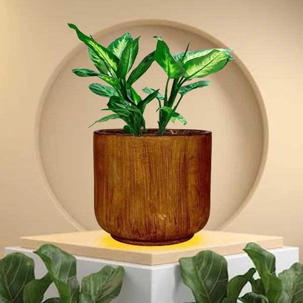 Orin_Small_Antique_Ceramic_Pots_For_Indoor_Plants,_Planters,Gamla,Outdoor,Balcony,Home,Round,Garden,_Office_Decor,Succulent(H_-_10_X_D_-_11.5_Cm)