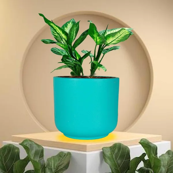 Orin_Small_Aqua_Ceramic_Pots_For_Indoor_Plants,_Planters,Gamla,Outdoor,Balcony,Home,Round,Garden,_Office_Decor,Succulent(H_-_10_X_D_-_11.5_Cm)