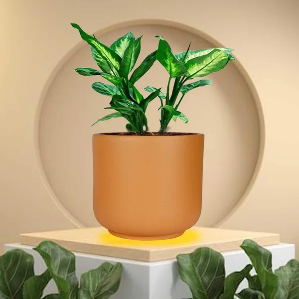 Orin_Small_Ginger_Ceramic_Pots_For_Indoor_Plants,_Planters,Gamla,Outdoor,Balcony,Home,Round,Garden,_Office_Decor,Succulent(H_-_10_X_D_-_11.5_Cm)