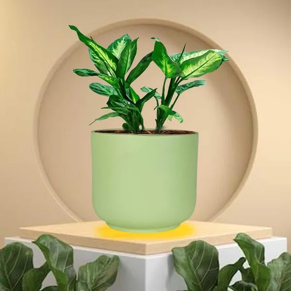 Orin_Small_Mint_Ceramic_Pots_For_Indoor_Plants,_Planters,Gamla,Outdoor,Balcony,Home,Round,Garden,_Office_Decor,Succulent(H_-_10_X_D_-_11.5_Cm)
