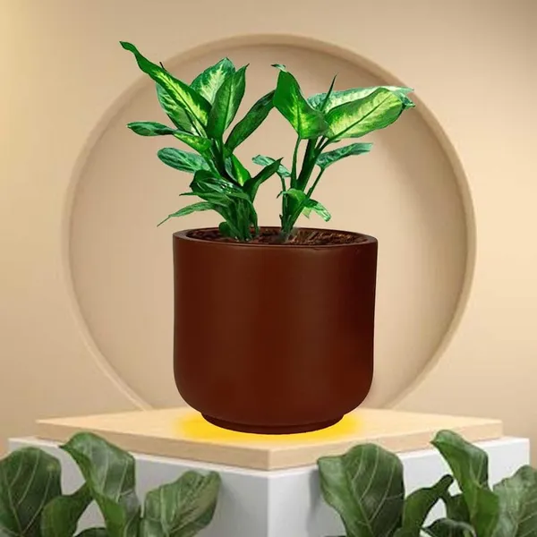 Orin_Small_Truffle_Ceramic_Pots_For_Indoor_Plants,_Planters,Gamla,Outdoor,Balcony,Home,Round,Garden,_Office_Decor,Succulent(H_-_10_X_D_-_11.5_Cm)