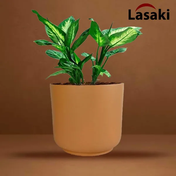 Orin_Big_Ginger_Ceramic_Pots_For_Indoor_Plants,_Planters,Gamla,Outdoor,Balcony,Home,Round,Garden,_Office_Decor,Succulent(H_-_11.5_X_D_-_13_Cm)