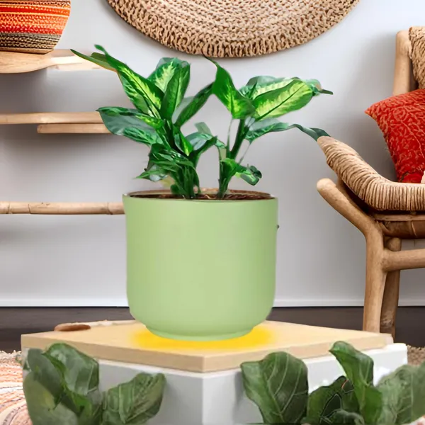 Orin_Big_Mint_Ceramic_Pots_For_Indoor_Plants,_Planters,Gamla,Outdoor,Balcony,Home,Round,Garden,_Office_Decor,Succulent(H_-_11.5_X_D_-_13_Cm)