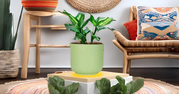 Orin_Big_Mint_Ceramic_Pots_For_Indoor_Plants,_Planters,Gamla,Outdoor,Balcony,Home,Round,Garden,_Office_Decor,Succulent(H_-_11.5_X_D_-_13_Cm)