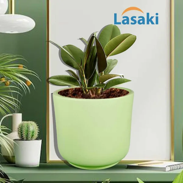 Orin_Big_Mint_Ceramic_Pots_For_Indoor_Plants,_Planters,Gamla,Outdoor,Balcony,Home,Round,Garden,_Office_Decor,Succulent(H_-_11.5_X_D_-_13_Cm)