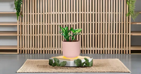Orin_Big_Pink_Ceramic_Pots_For_Indoor_Plants,_Planters,Gamla,Outdoor,Balcony,Home,Round,Garden,_Office_Decor,Succulent(H_-_11.5_X_D_-_13_Cm)