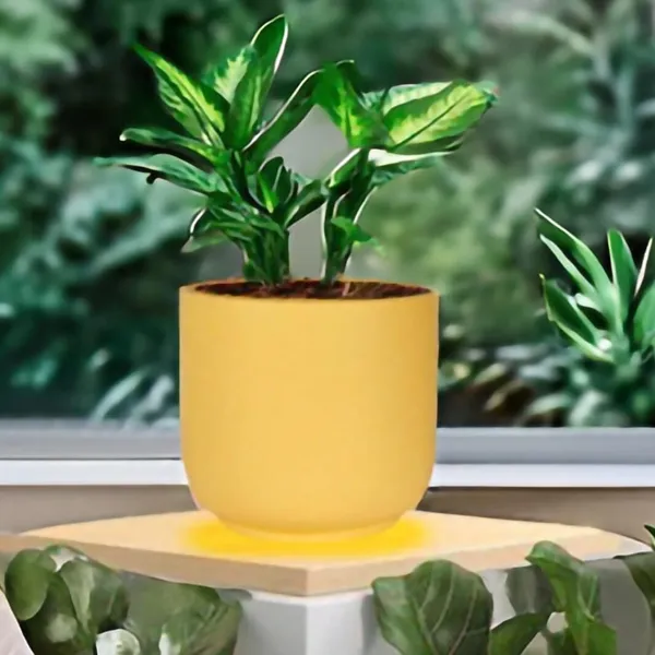 Orin_Big_Saffron_Ceramic_Pots_For_Indoor_Plants,_Planters,Gamla,Outdoor,Balcony,Home,Round,Garden,_Office_Decor,Succulent(H_-_11.5_X_D_-_13_Cm)
