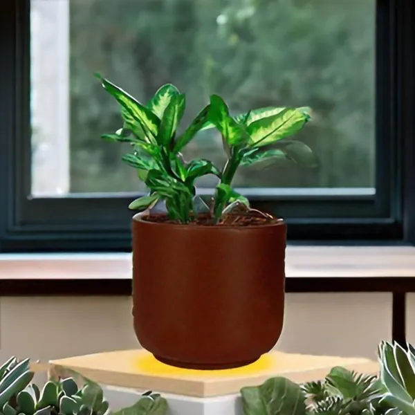 Orin_Big_Truffle_Ceramic_Pots_For_Indoor_Plants,_Planters,Gamla,Outdoor,Balcony,Home,Round,Garden,_Office_Decor,Succulent(H_-_11.5_X_D_-_13_Cm)