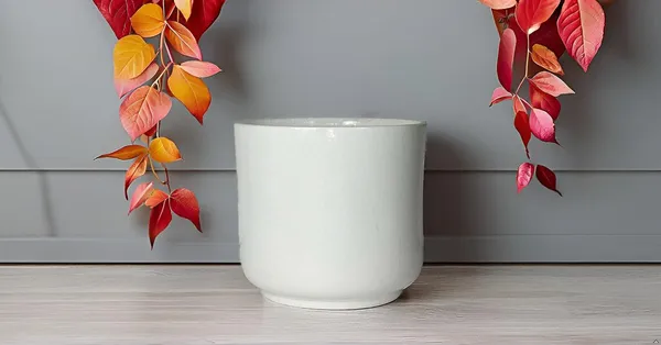 Orin_Big_White_Ceramic_Pots_For_Indoor_Plants,_Planters,Gamla,Outdoor,Balcony,Home,Round,Garden,_Office_Decor,Succulent(H_-_11.5_X_D_-_13_Cm)