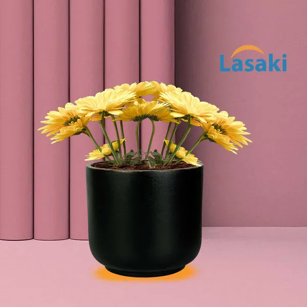 Orin_Small_Black_Gold_Ceramic_Pots_For_Indoor_Plants,_Planters,Gamla,Outdoor,Balcony,Home,Round,Garden,_Office_Decor,Succulent(H_-_10_X_D_-_11.5_Cm)