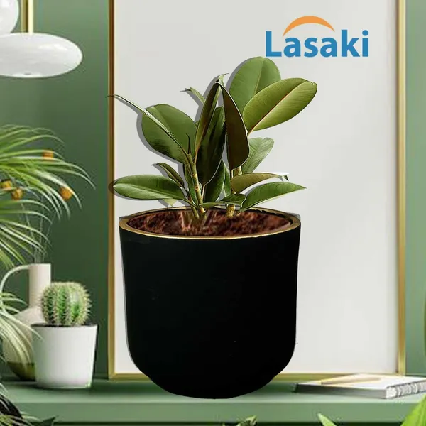 Orin_Big_Black_Gold_Ceramic_Pots_For_Indoor_Plants,_Planters,Gamla,Outdoor,Balcony,Home,Round,Garden,_Office_Decor,Succulent(H_-_11.5_X_D_-_13_Cm)