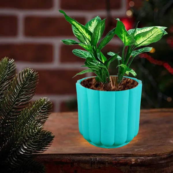 Flona_Aqua_Ceramic_Pots_For_Indoor_Plants,_Planters,Gamla,Outdoor,Balcony,Home,Round,Garden,_Office_Decor,Succulent(H_-_11.5_X_D_-_12.5_Cm)