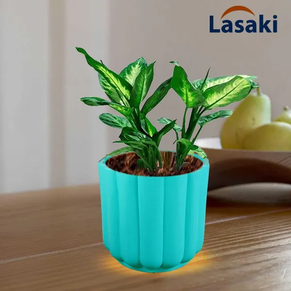 Flona_Aqua_Ceramic_Pots_For_Indoor_Plants,_Planters,Gamla,Outdoor,Balcony,Home,Round,Garden,_Office_Decor,Succulent(H_-_11.5_X_D_-_12.5_Cm)