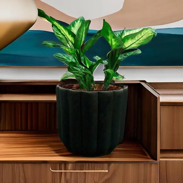 Flona_Black_Ceramic_Pots_For_Indoor_Plants,_Planters,Gamla,Outdoor,Balcony,Home,Round,Garden,_Office_Decor,Succulent(H_-_11.5_X_D_-_12.5_Cm)