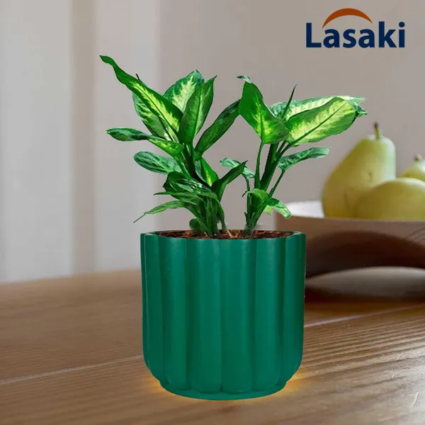 Flona_Deep_Jungle_Ceramic_Pots_For_Indoor_Plants,_Planters,Gamla,Outdoor,Balcony,Home,Round,Garden,_Office_Decor,Succulent(H_-_11.5_X_D_-_12.5_Cm)
