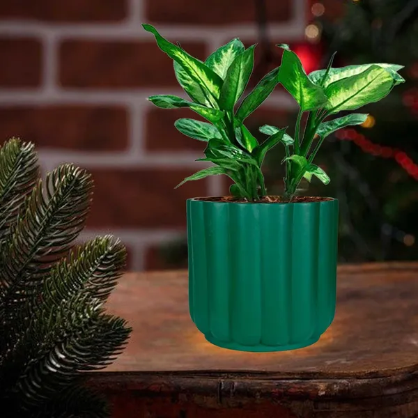 Flona_Deep_Jungle_Ceramic_Pots_For_Indoor_Plants,_Planters,Gamla,Outdoor,Balcony,Home,Round,Garden,_Office_Decor,Succulent(H_-_11.5_X_D_-_12.5_Cm)