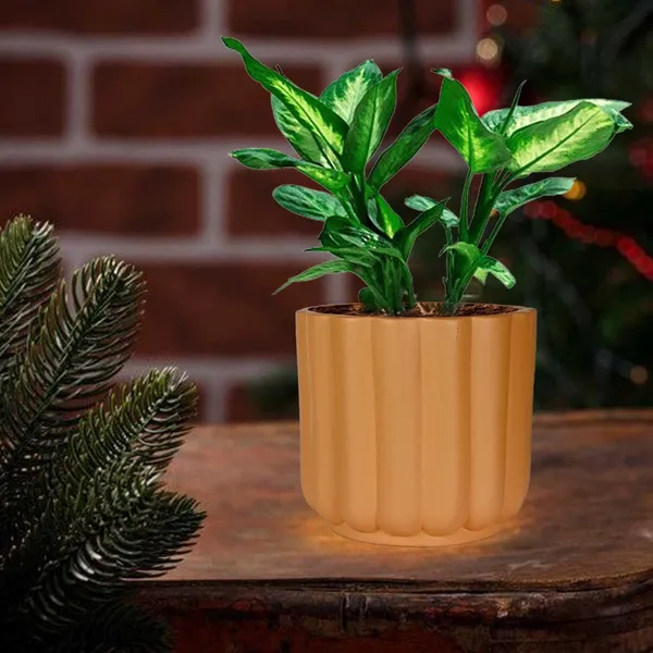 Flona_Ginger_Ceramic_Pots_For_Indoor_Plants,_Planters,Gamla,Outdoor,Balcony,Home,Round,Garden,_Office_Decor,Succulent(H_-_11.5_X_D_-_12.5_Cm)