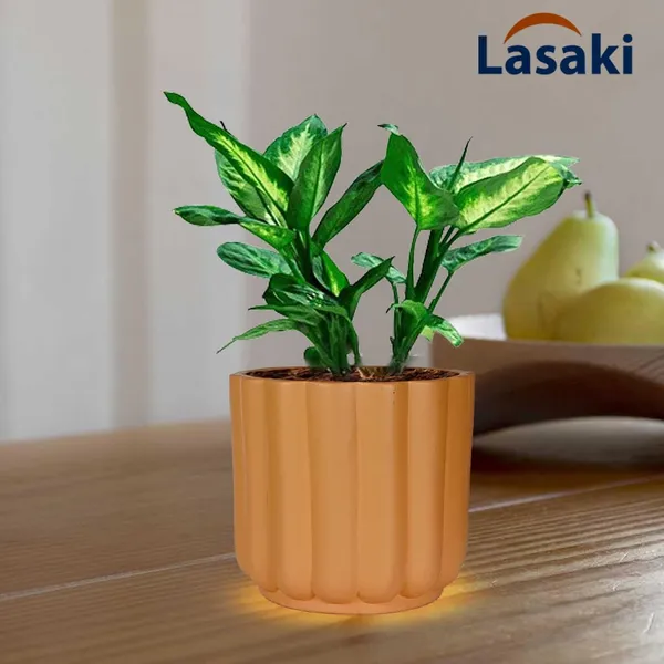 Flona_Ginger_Ceramic_Pots_For_Indoor_Plants,_Planters,Gamla,Outdoor,Balcony,Home,Round,Garden,_Office_Decor,Succulent(H_-_11.5_X_D_-_12.5_Cm)