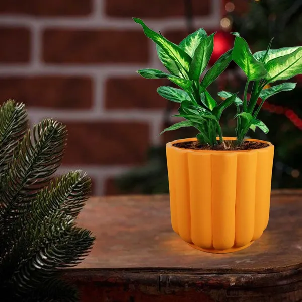 Flona_Lily_Ceramic_Pots_For_Indoor_Plants,_Planters,Gamla,Outdoor,Balcony,Home,Round,Garden,_Office_Decor,Succulent(H_-_11.5_X_D_-_12.5_Cm)