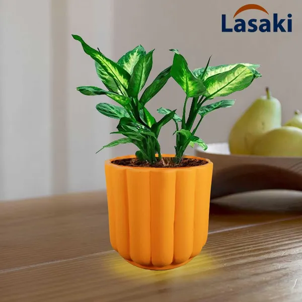 Flona_Lily_Ceramic_Pots_For_Indoor_Plants,_Planters,Gamla,Outdoor,Balcony,Home,Round,Garden,_Office_Decor,Succulent(H_-_11.5_X_D_-_12.5_Cm)