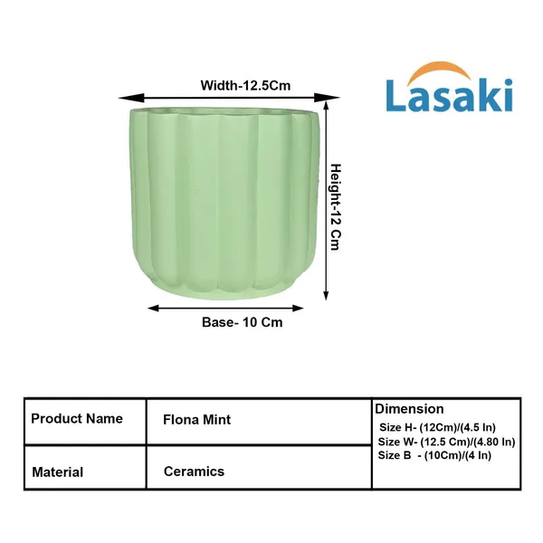 Flona_Mint_Ceramic_Pots_For_Indoor_Plants,_Planters,Gamla,Outdoor,Balcony,Home,Round,Garden,_Office_Decor,Succulent(H_-_11.5_X_D_-_12.5_Cm)