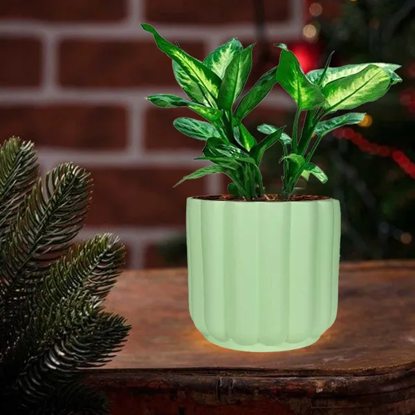 Flona_Mint_Ceramic_Pots_For_Indoor_Plants,_Planters,Gamla,Outdoor,Balcony,Home,Round,Garden,_Office_Decor,Succulent(H_-_11.5_X_D_-_12.5_Cm)