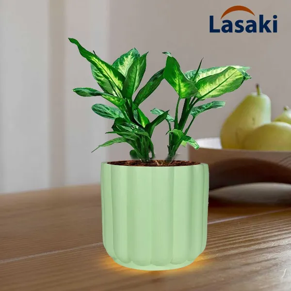 Flona_Mint_Ceramic_Pots_For_Indoor_Plants,_Planters,Gamla,Outdoor,Balcony,Home,Round,Garden,_Office_Decor,Succulent(H_-_11.5_X_D_-_12.5_Cm)