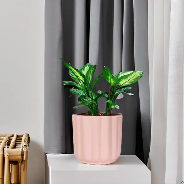 Flona_Pink_Ceramic_Pots_For_Indoor_Plants,_Planters,Gamla,Outdoor,Balcony,Home,Round,Garden,_Office_Decor,Succulent(H_-_11.5_X_D_-_12.5_Cm)