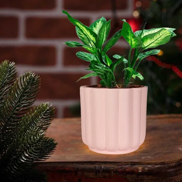 Flona_Pink_Ceramic_Pots_For_Indoor_Plants,_Planters,Gamla,Outdoor,Balcony,Home,Round,Garden,_Office_Decor,Succulent(H_-_11.5_X_D_-_12.5_Cm)