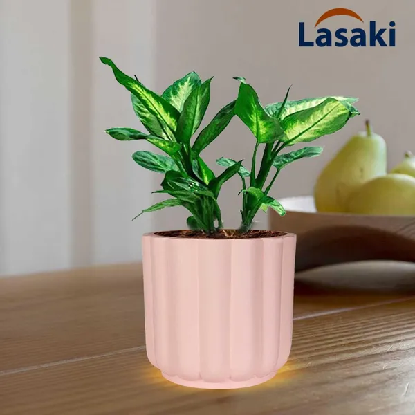Flona_Pink_Ceramic_Pots_For_Indoor_Plants,_Planters,Gamla,Outdoor,Balcony,Home,Round,Garden,_Office_Decor,Succulent(H_-_11.5_X_D_-_12.5_Cm)