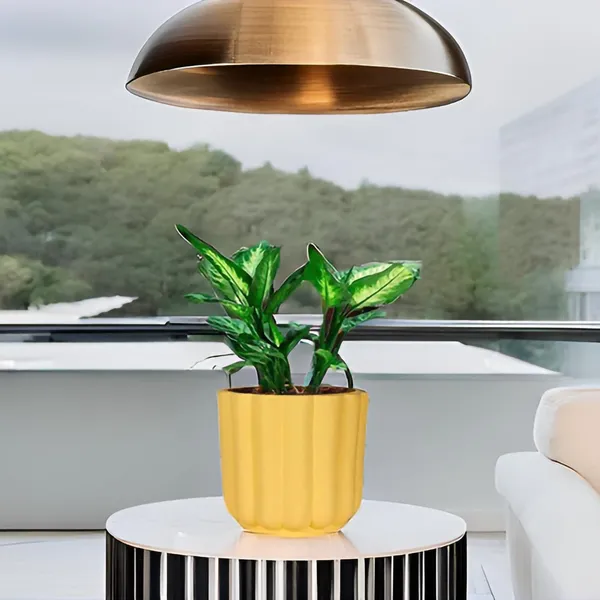 Flona_Saffron_Ceramic_Pots_For_Indoor_Plants,_Planters,Gamla,Outdoor,Balcony,Home,Round,Garden,_Office_Decor,Succulent(H_-_11.5_X_D_-_12.5_Cm)