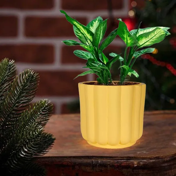 Flona_Saffron_Ceramic_Pots_For_Indoor_Plants,_Planters,Gamla,Outdoor,Balcony,Home,Round,Garden,_Office_Decor,Succulent(H_-_11.5_X_D_-_12.5_Cm)
