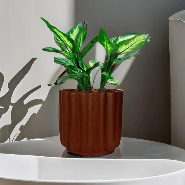 Flona_Truffle_Ceramic_Pots_For_Indoor_Plants,_Planters,Gamla,Outdoor,Balcony,Home,Round,Garden,_Office_Decor,Succulent(H_-_11.5_X_D_-_12.5_Cm)