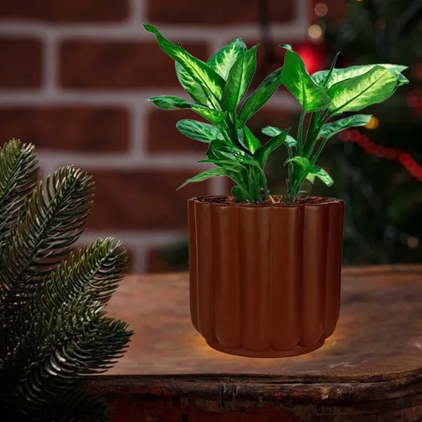 Flona_Truffle_Ceramic_Pots_For_Indoor_Plants,_Planters,Gamla,Outdoor,Balcony,Home,Round,Garden,_Office_Decor,Succulent(H_-_11.5_X_D_-_12.5_Cm)