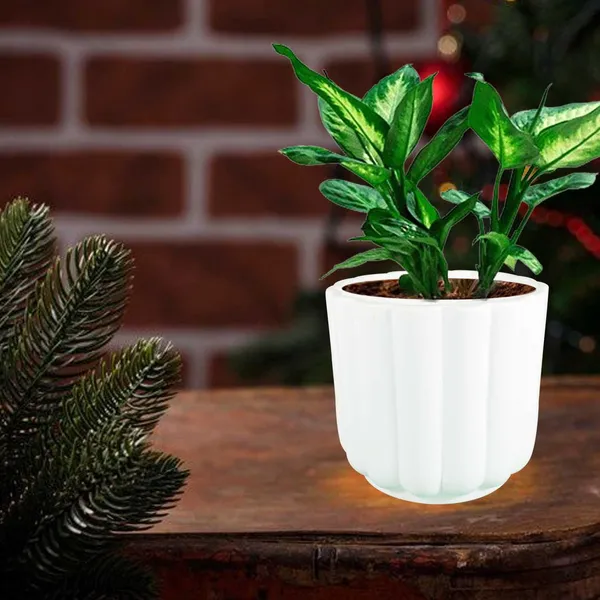 Flona_White_Ceramic_Pots_For_Indoor_Plants,_Planters,Gamla,Outdoor,Balcony,Home,Round,Garden,_Office_Decor,Succulent(H_-_11.5_X_D_-_12.5_Cm)