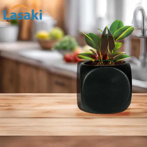 Aero_Black_Ceramic_Pots_For_Indoor_Plants,_Planters,Gamla,Outdoor,Balcony,Home,Round,Garden,_Office_Decor,Succulent(L-9_X_W_-_9_X_H_-_9_Cm)
