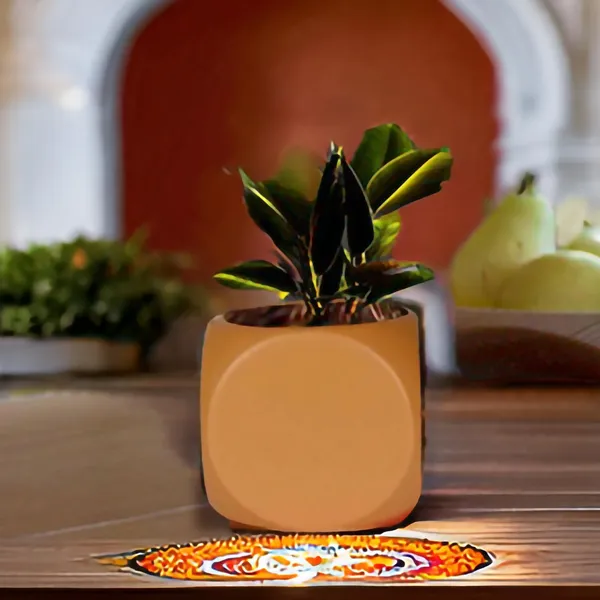 Aero_Ginger_Ceramic_Pots_For_Indoor_Plants,_Planters,Gamla,Outdoor,Balcony,Home,Round,Garden,_Office_Decor,Succulent(L-9_X_W_-_9_X_H_-_9_Cm)