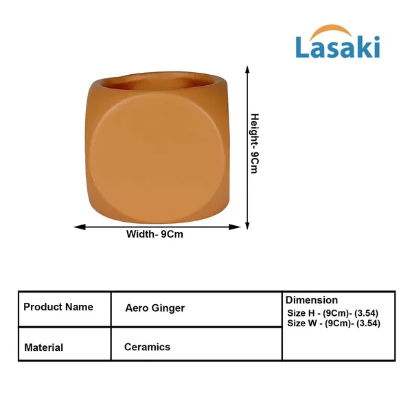 Aero_Ginger_Ceramic_Pots_For_Indoor_Plants,_Planters,Gamla,Outdoor,Balcony,Home,Round,Garden,_Office_Decor,Succulent(L-9_X_W_-_9_X_H_-_9_Cm)