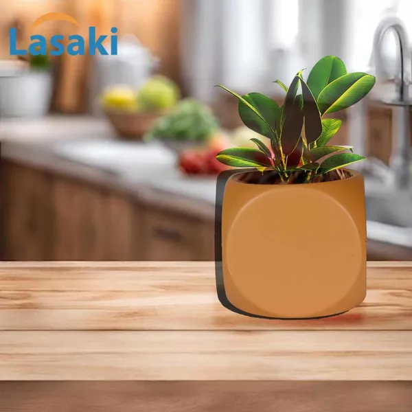 Aero_Ginger_Ceramic_Pots_For_Indoor_Plants,_Planters,Gamla,Outdoor,Balcony,Home,Round,Garden,_Office_Decor,Succulent(L-9_X_W_-_9_X_H_-_9_Cm)