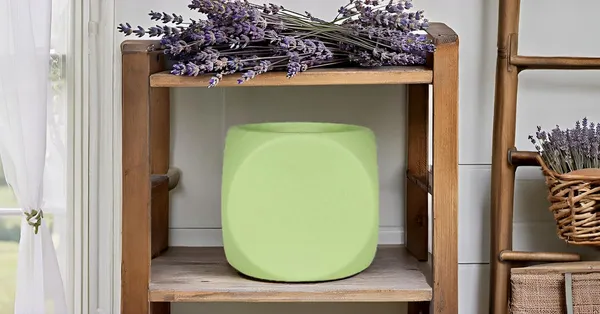 Aero_Mint_Ceramic_Pots_For_Indoor_Plants,_Planters,Gamla,Outdoor,Balcony,Home,Round,Garden,_Office_Decor,Succulent(L-9_X_W_-_9_X_H_-_9_Cm)