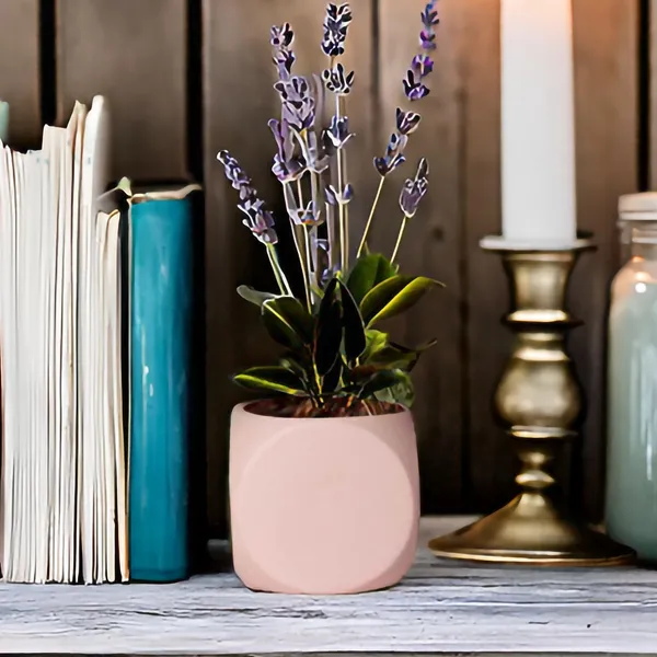 Aero_Pink_Ceramic_Pots_For_Indoor_Plants,_Planters,Gamla,Outdoor,Balcony,Home,Round,Garden,_Office_Decor,Succulent(L-9_X_W_-_9_X_H_-_9_Cm)