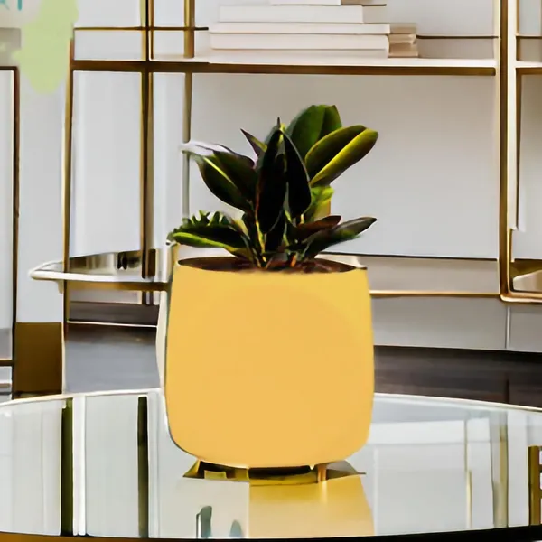 Aero_Saffron_Ceramic_Pots_For_Indoor_Plants,_Planters,Gamla,Outdoor,Balcony,Home,Round,Garden,_Office_Decor,Succulent(L-9_X_W_-_9_X_H_-_9_Cm)
