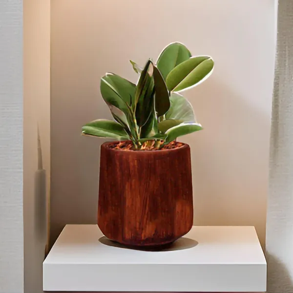 Clara_Antique_Ceramic_Pots_For_Indoor_Plants,_Planters,Gamla,Outdoor,Balcony,Home,Round,Garden,_Office_Decor,Succulent(H_-_12.5_X_D_-_12.5_Cm)