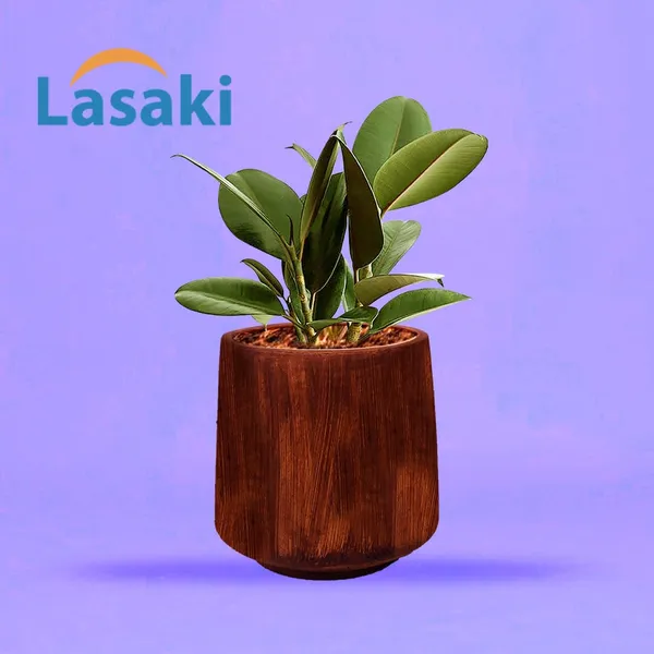 Clara_Antique_Ceramic_Pots_For_Indoor_Plants,_Planters,Gamla,Outdoor,Balcony,Home,Round,Garden,_Office_Decor,Succulent(H_-_12.5_X_D_-_12.5_Cm)