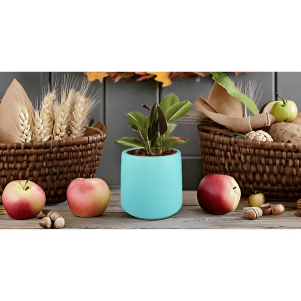 Clara_Aqua_Ceramic_Pots_For_Indoor_Plants,_Planters,Gamla,Outdoor,Balcony,Home,Round,Garden,_Office_Decor,Succulent(H_-_12.5_X_D_-_12.5_Cm)