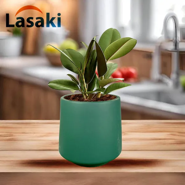 Clara_Deep_Jungle_Ceramic_Pots_For_Indoor_Plants,_Planters,Gamla,Outdoor,Balcony,Home,Round,Garden,_Office_Decor,Succulent(H_-_12.5_X_D_-_12.5_Cm)